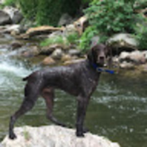 Meet your Posher, Brandy